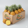 Ananas Victoria Cultivé sur l'île de La Réunion